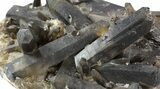 Huge, Smoky Quartz Cluster - Brazil (Special Price) #47193-3